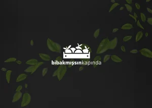 bibakmissinkapinda-web-01