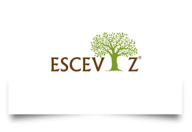 esceviz-logo