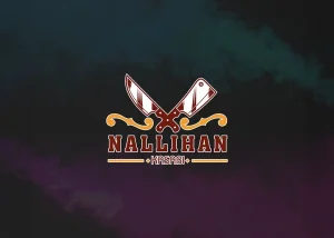 nallihan-eticaret-sitesi-2
